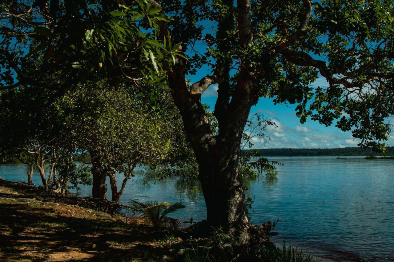 הוילה מנאוס Anaconda Amazon Island מראה חיצוני תמונה